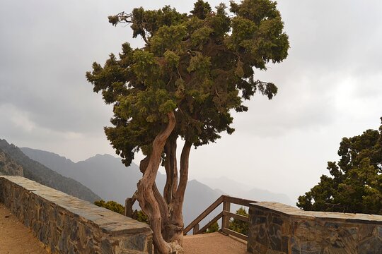 Tour image 11